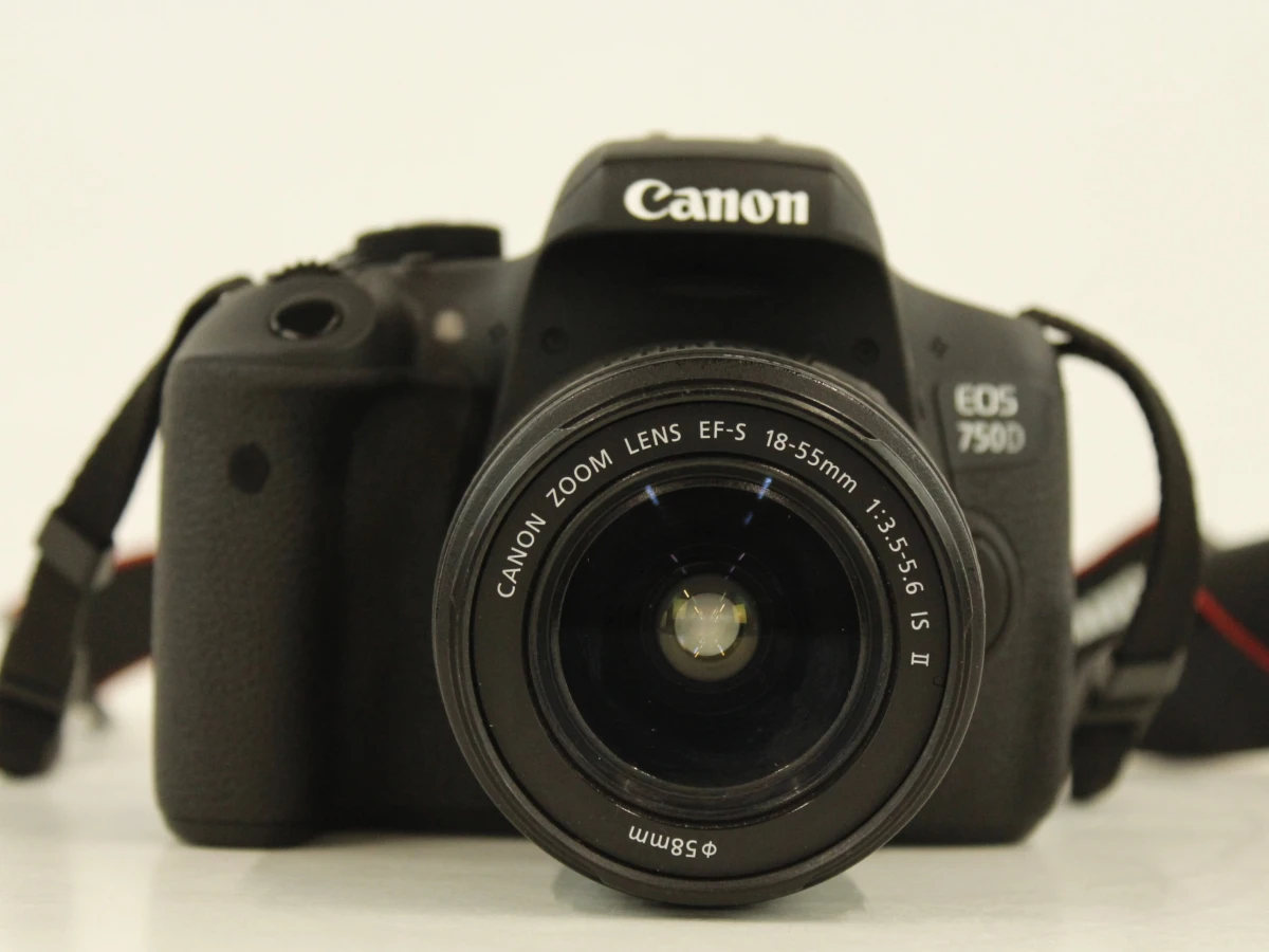 Canon EOS 750D (24.2 MP) + EF-S 18-55mm IS Lens (85 mm) - foto 4