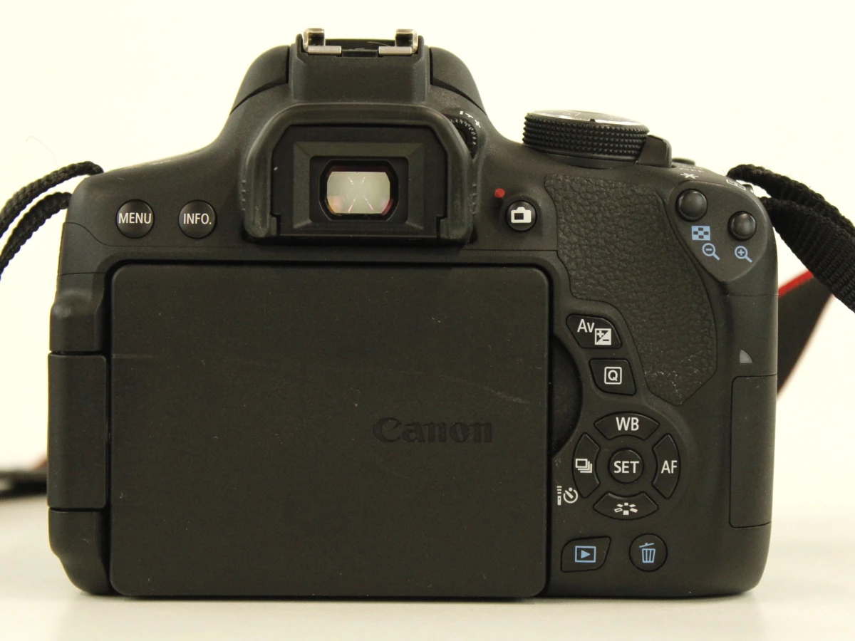 Canon EOS 750D (24.2 MP) + EF-S 18-55mm IS Lens (85 mm) - foto 10