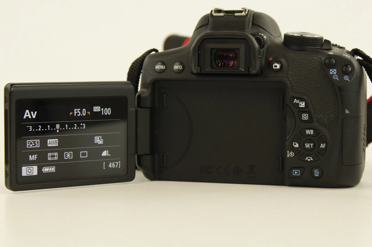 Canon EOS 750D (24.2 MP) + EF-S 18-55mm IS Lens (85 mm) - foto 11