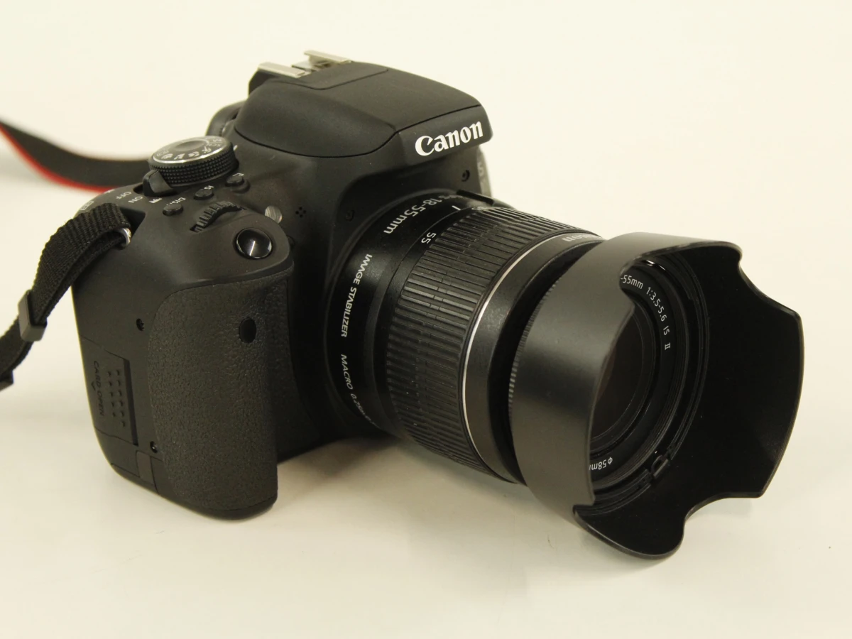 Canon EOS 750D (24.2 MP) + EF-S 18-55mm IS Lens (85 mm) - foto 12
