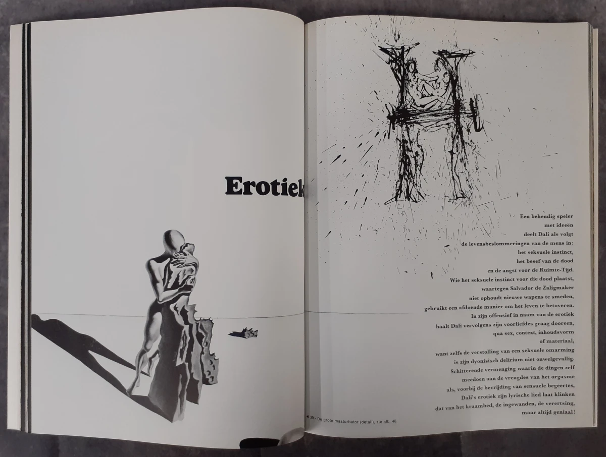 Boek: Trio van Dali kunstboeken - foto 17