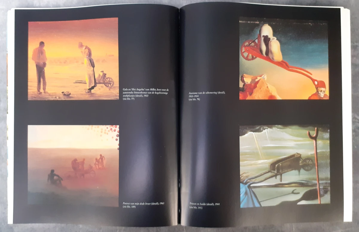 Boek: Trio van Dali kunstboeken - foto 4