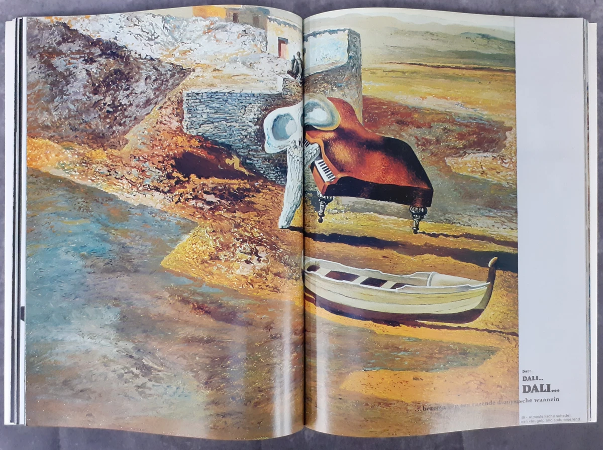 Boek: Trio van Dali kunstboeken - foto 18