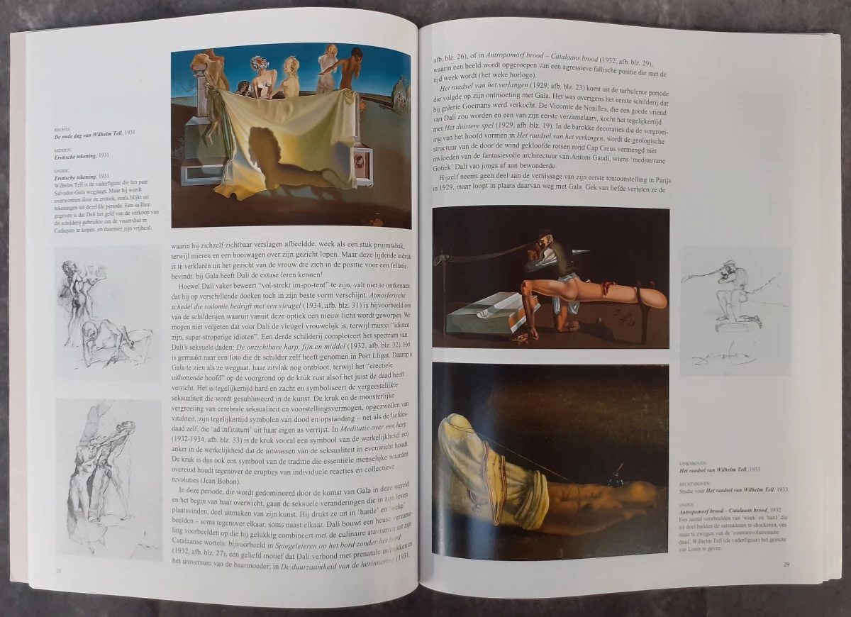 Boek: Trio van Dali kunstboeken - foto 10