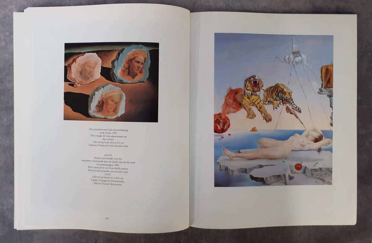 Boek: Trio van Dali kunstboeken - foto 7