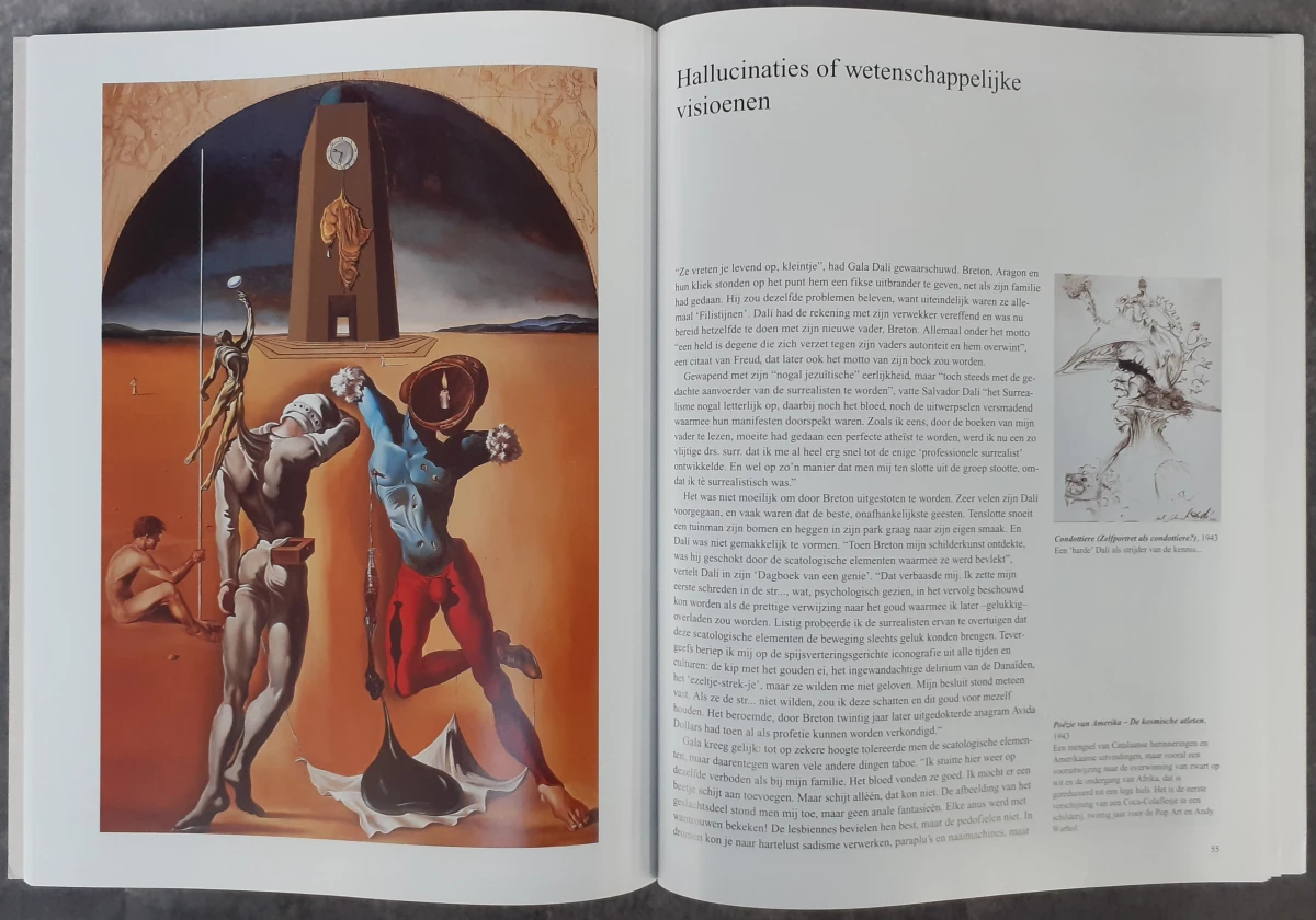 Boek: Trio van Dali kunstboeken - foto 12