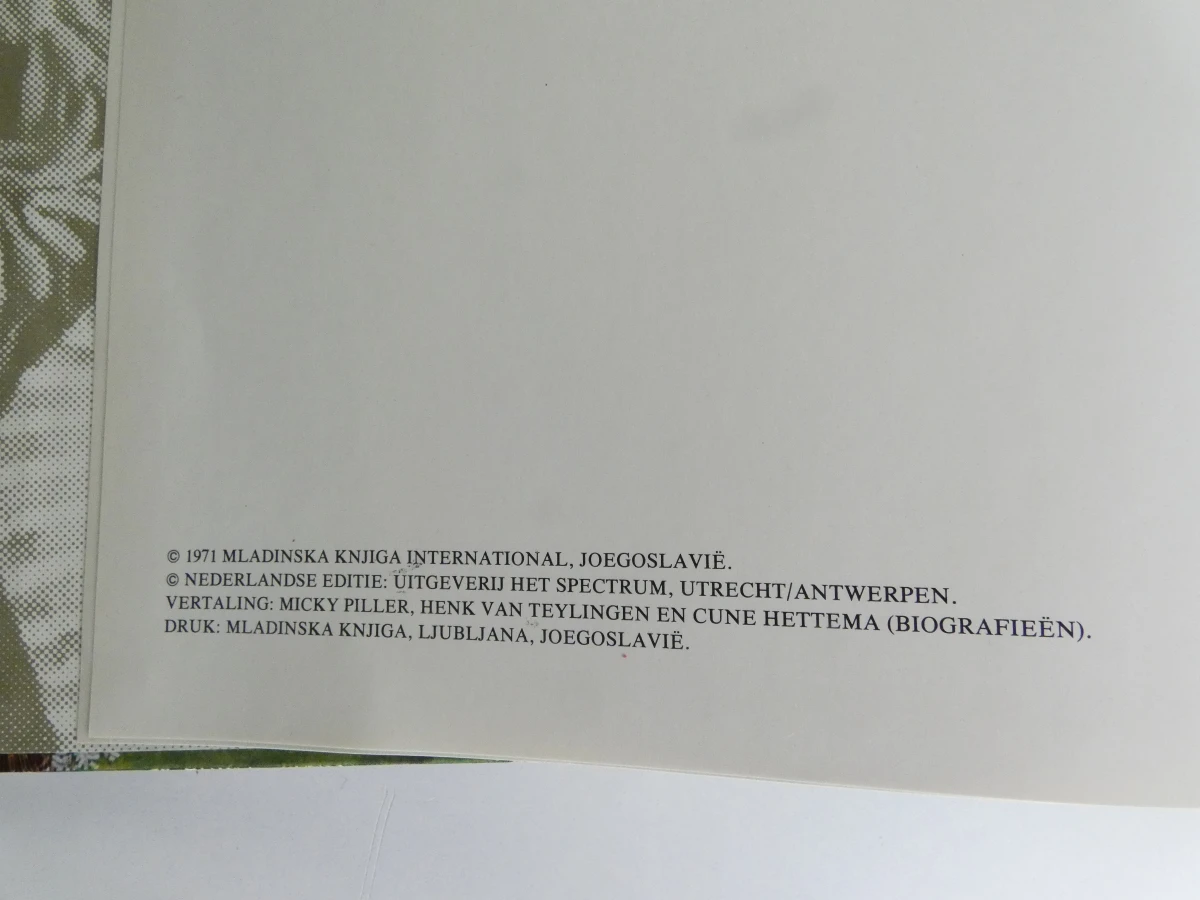 Boek: Moderne Primitieven - foto 2