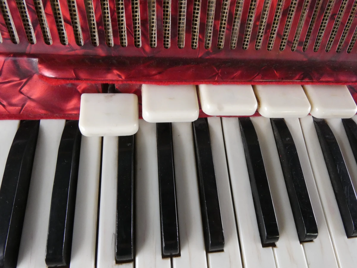 Vintage Cantulia Sonatina accordeon - foto 9