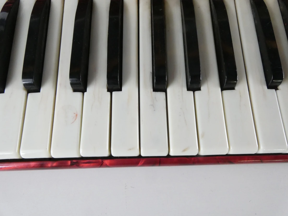 Vintage Cantulia Sonatina accordeon - foto 10