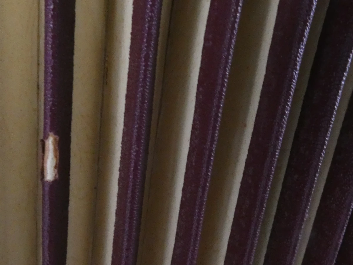 Vintage Cantulia Sonatina accordeon - foto 18