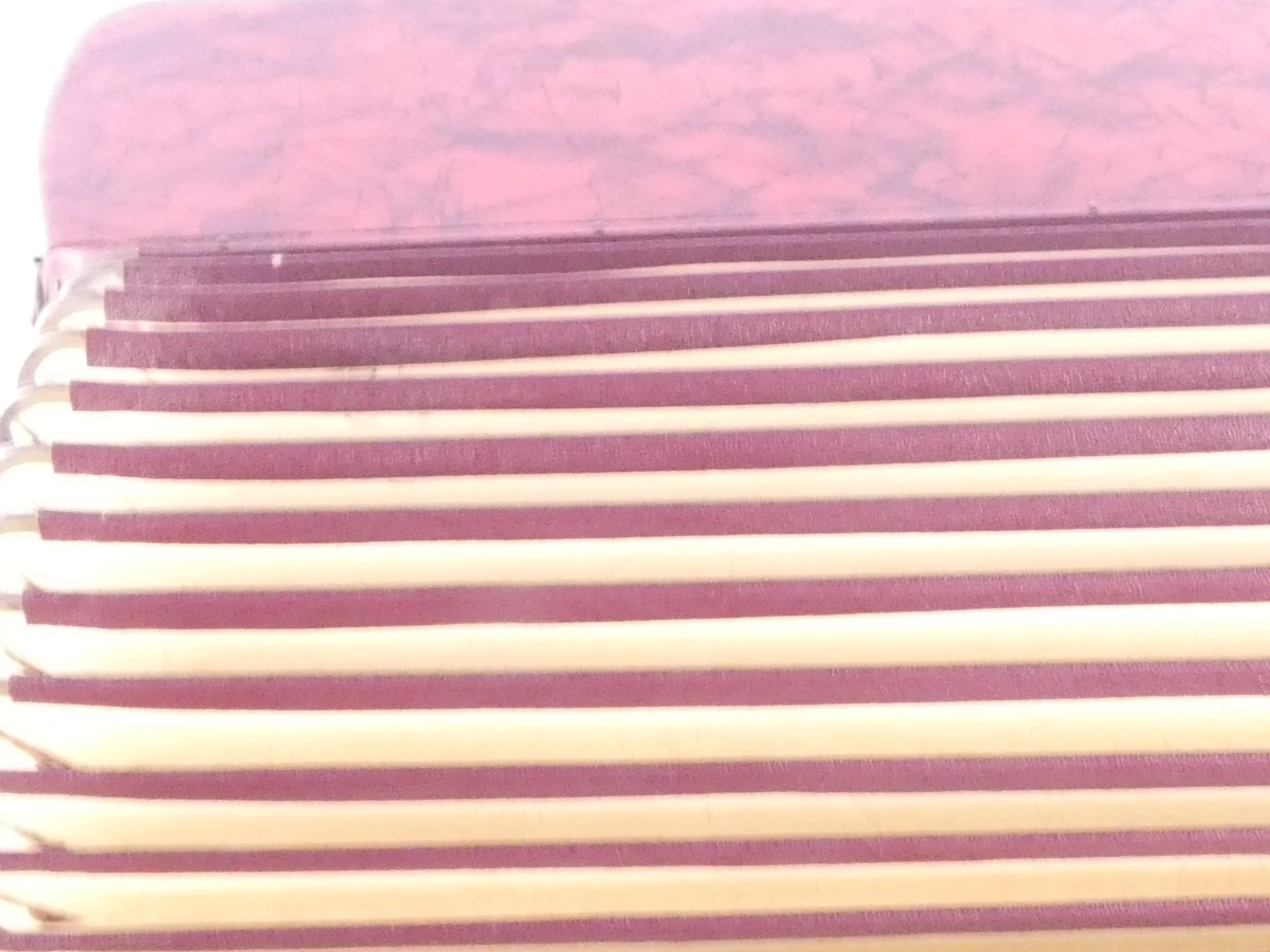 Vintage Cantulia Sonatina accordeon - foto 22
