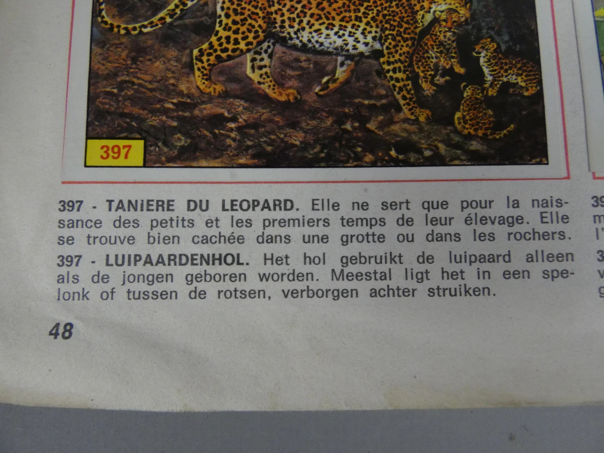 Stickerboek zoogdieren - foto 13