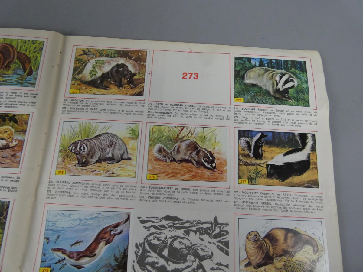 Stickerboek zoogdieren - foto 9