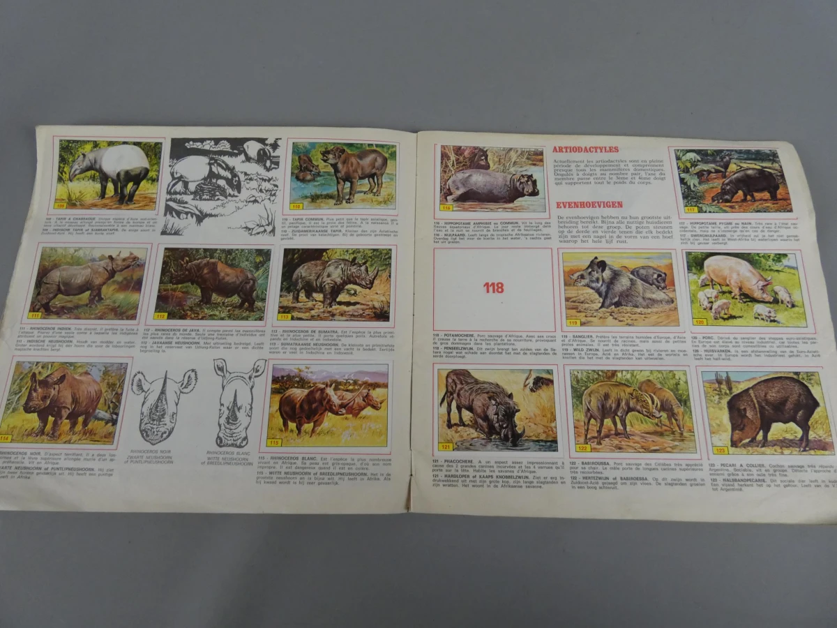 Stickerboek zoogdieren - foto 6