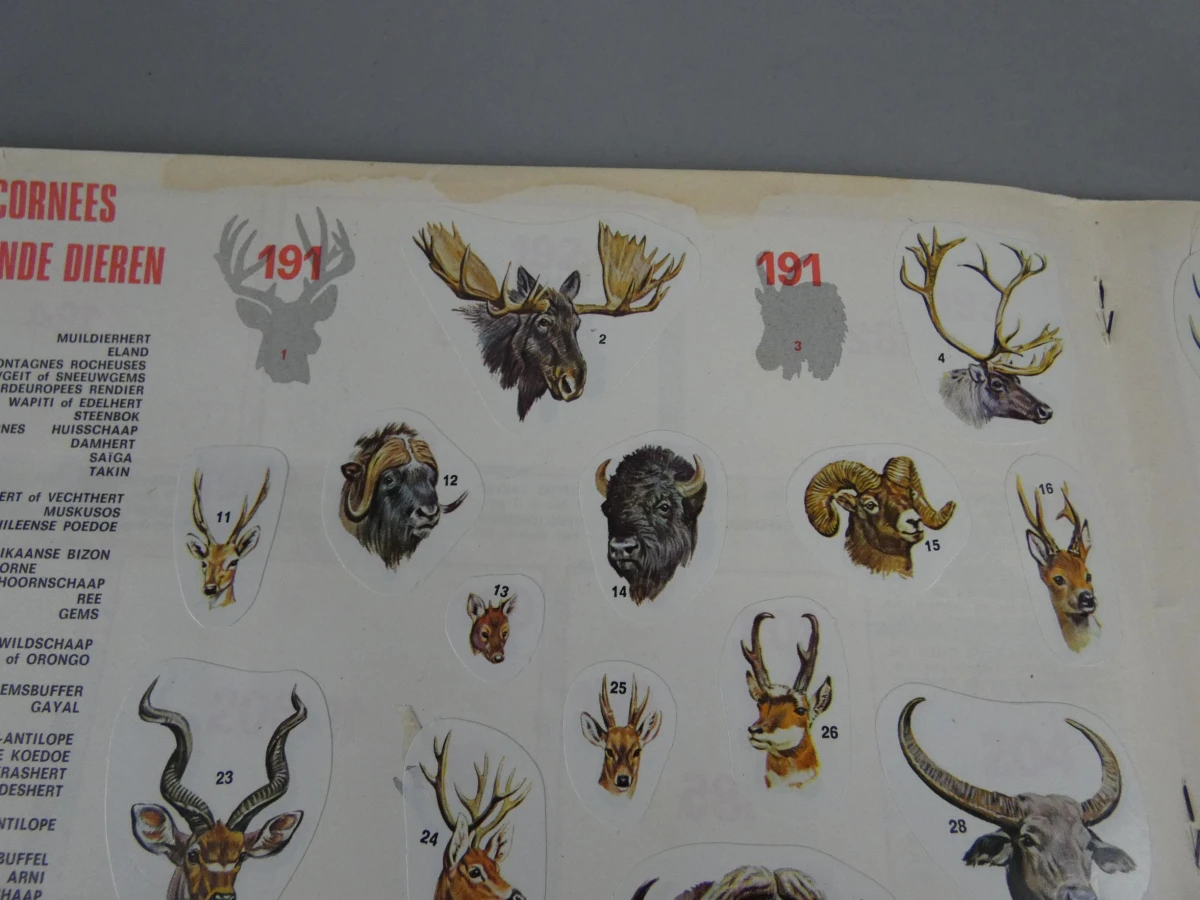 Stickerboek zoogdieren - foto 8