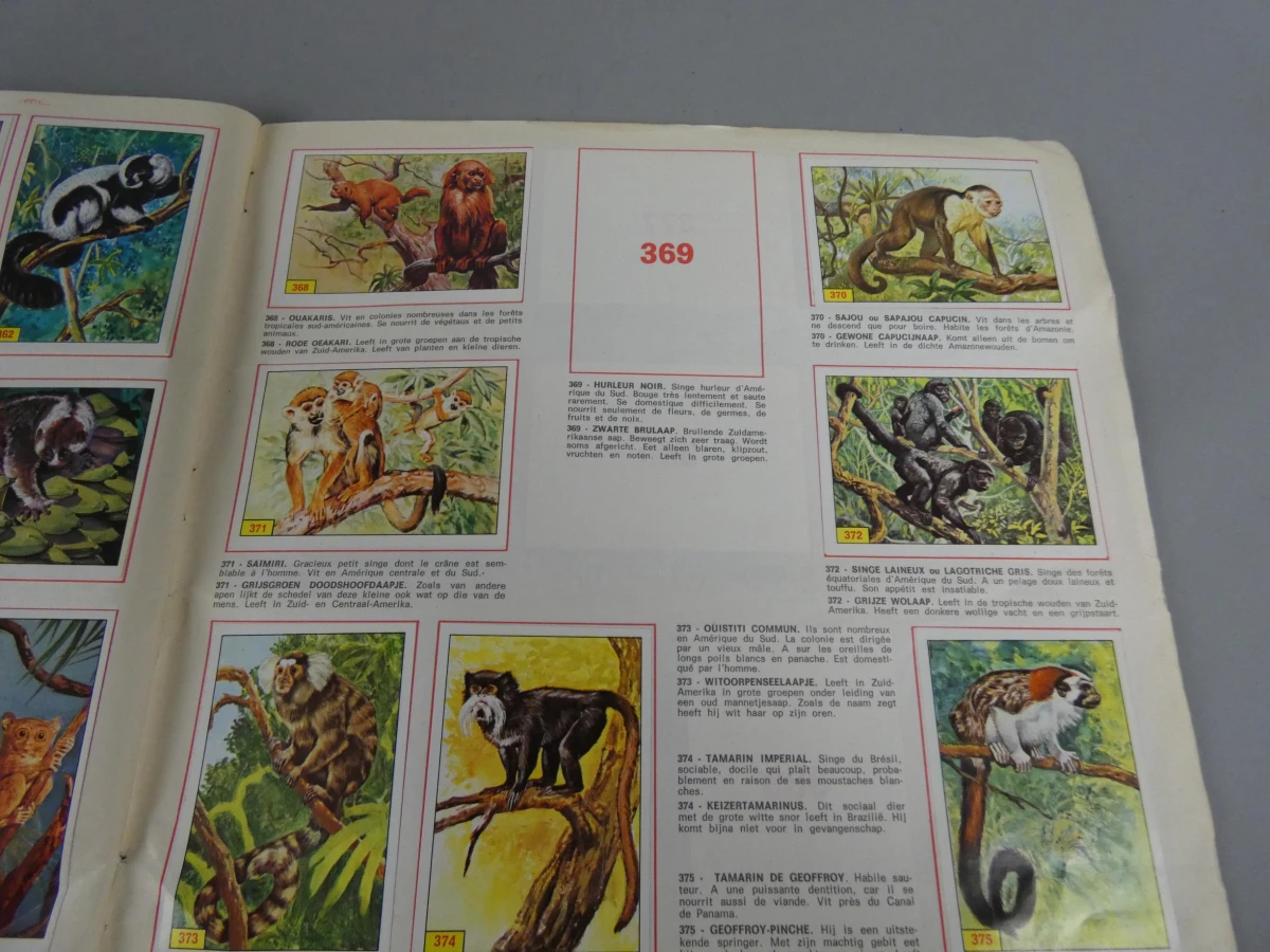 Stickerboek zoogdieren - foto 11