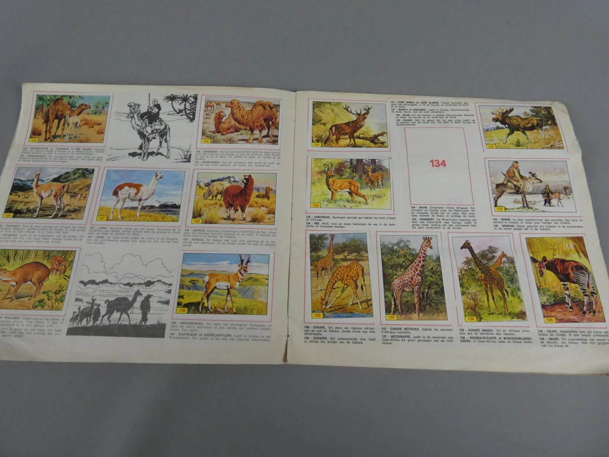 Stickerboek zoogdieren - foto 7
