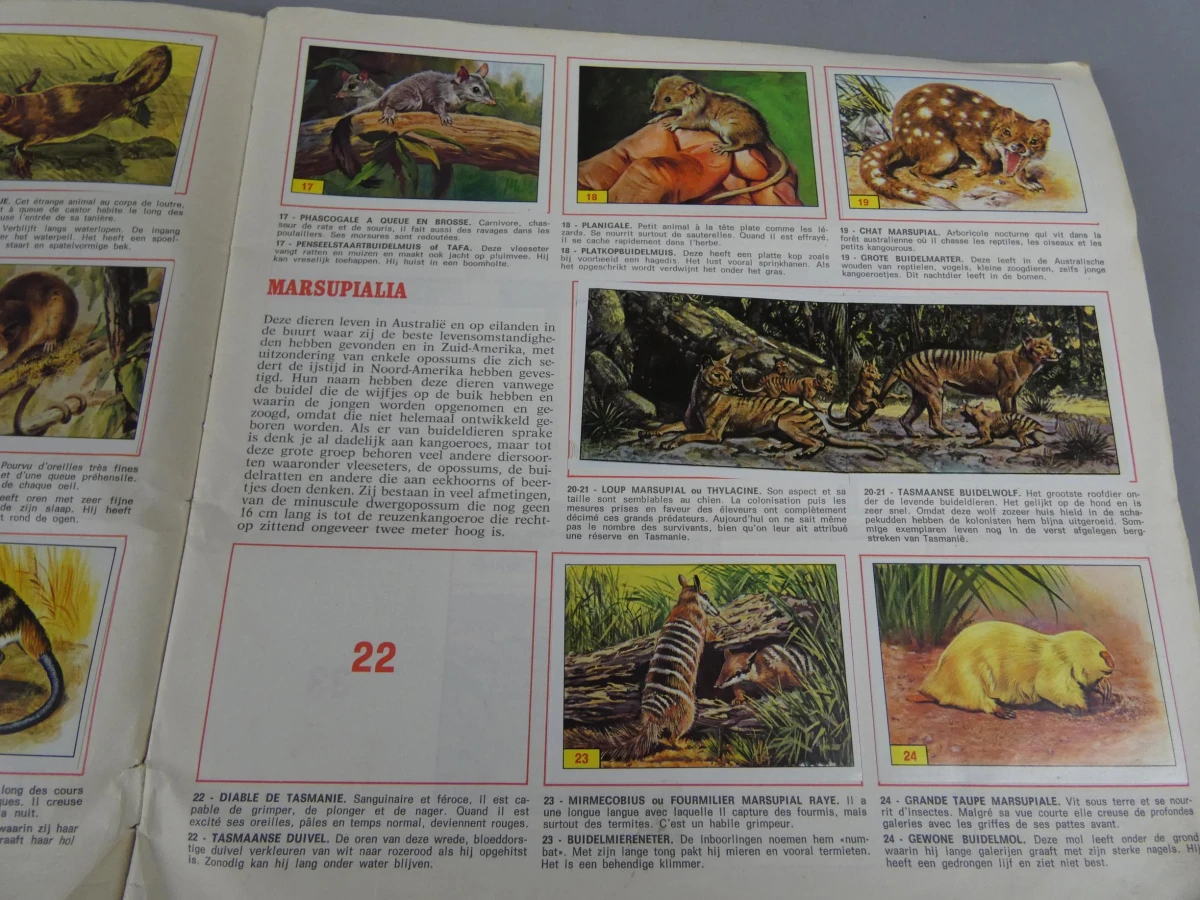Stickerboek zoogdieren - foto 5