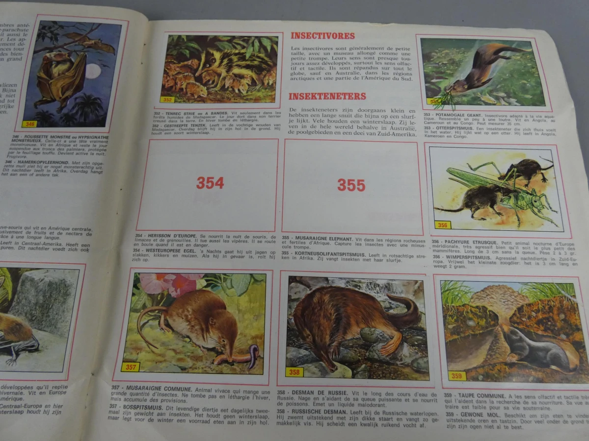 Stickerboek zoogdieren - foto 10
