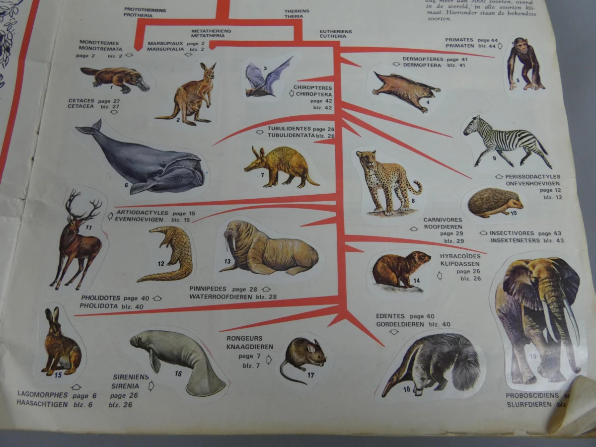 Stickerboek zoogdieren - foto 3