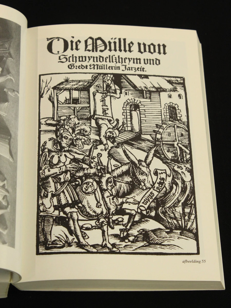 Jheronimus Boch - tussen volksleven en stadscultuur - foto 9