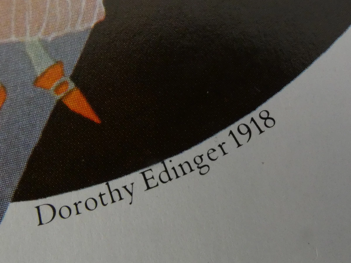 Boek: The Art of Vogue: Covers 1909-1940 - foto 8
