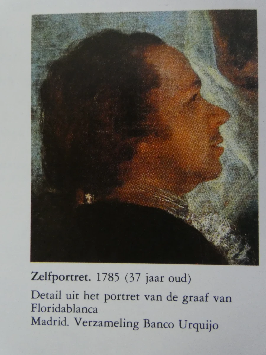 Boek: Goya - Tentoonstellingscatalogus Europalia 85 España - foto 3