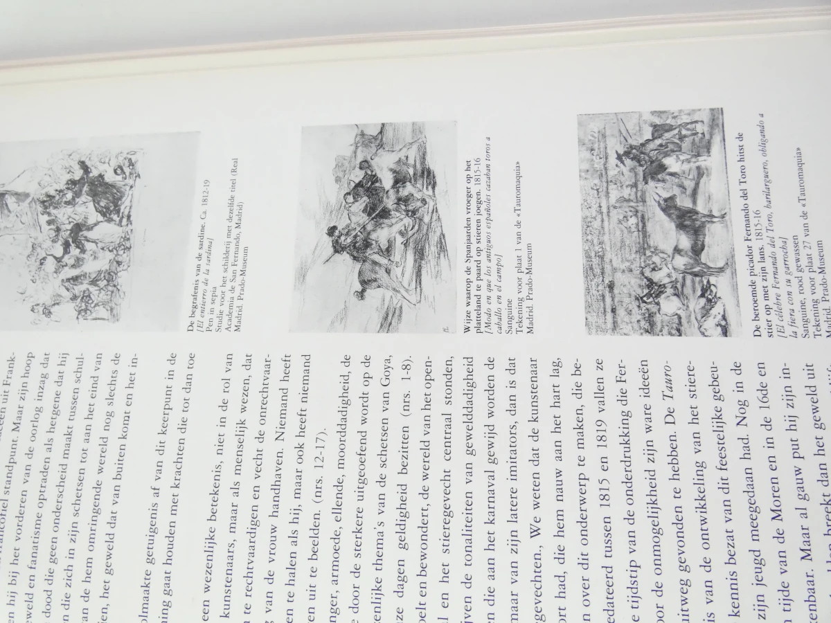 Boek: Goya - Tentoonstellingscatalogus Europalia 85 España - foto 9