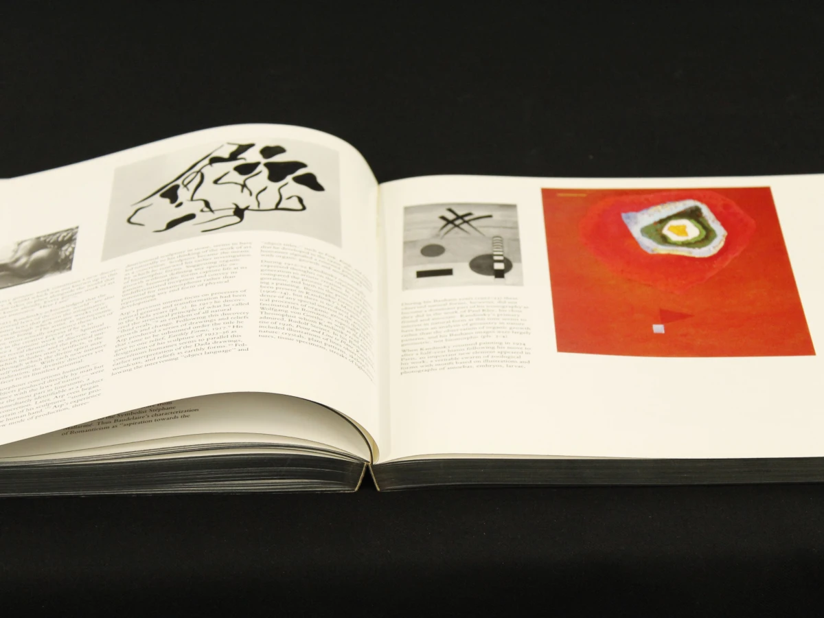 The spiritual in art abstract painting 1890-1985 - foto 7
