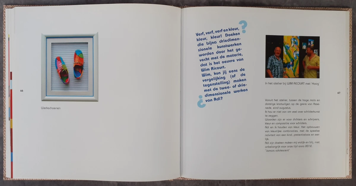 Boek: Adi Steurbaut - Weg Van De Kleur - foto 6