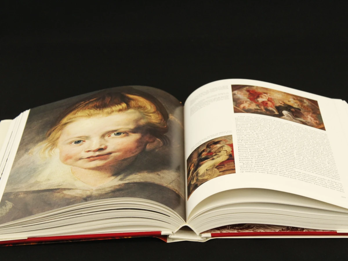 Antwerpen - twaalf eeuwen geschiedenis en cultuur - foto 6
