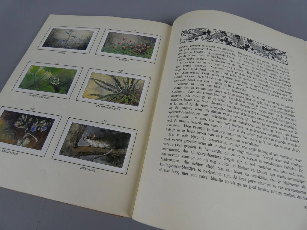 Klassiek Verkade-album Bosch en Heide - foto 11