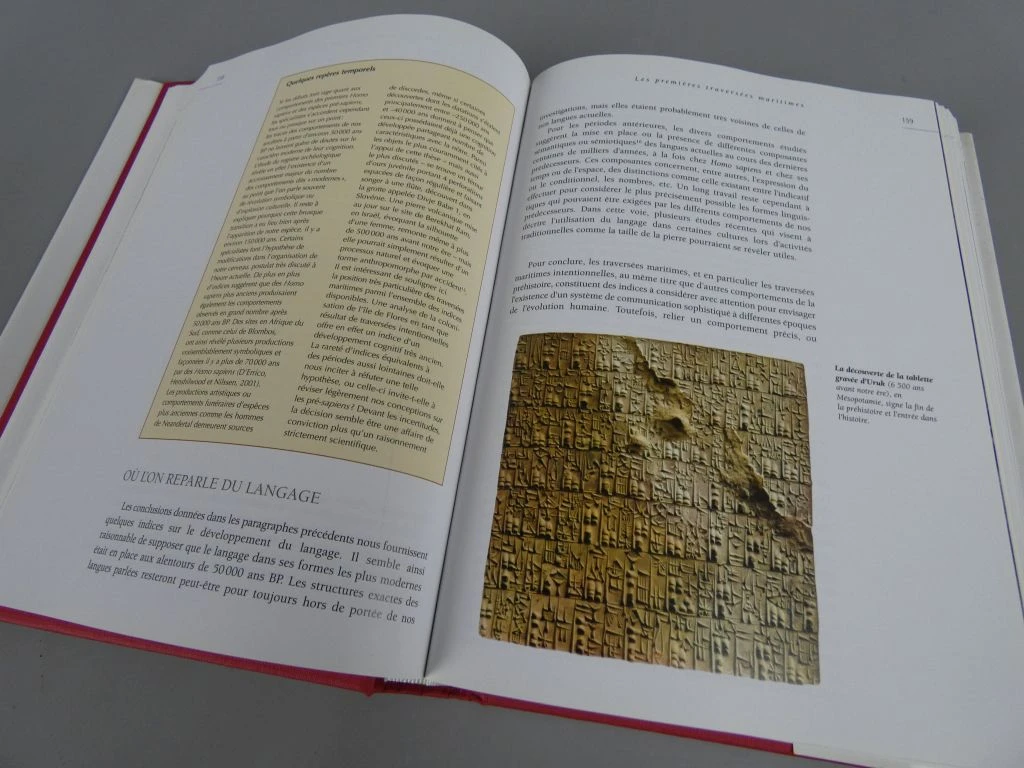 Boek over de oorsprong van talen en taalgebruik - foto 9