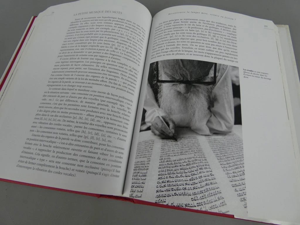 Boek over de oorsprong van talen en taalgebruik - foto 10