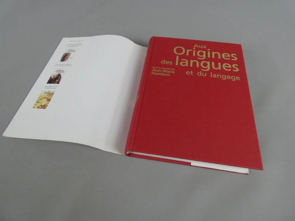 Boek over de oorsprong van talen en taalgebruik - foto 3