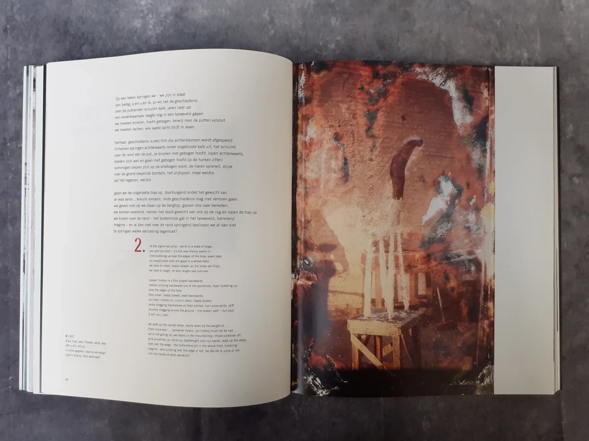 Boek: Johan Tahon - IF