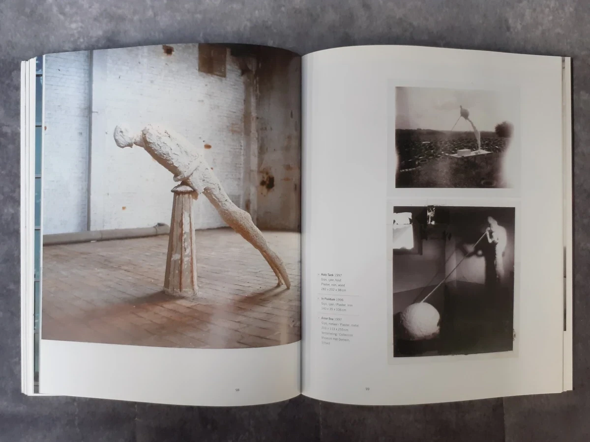 Boek: Johan Tahon - IF