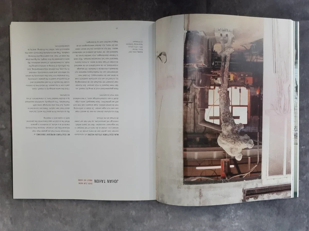 Boek: Johan Tahon - IF