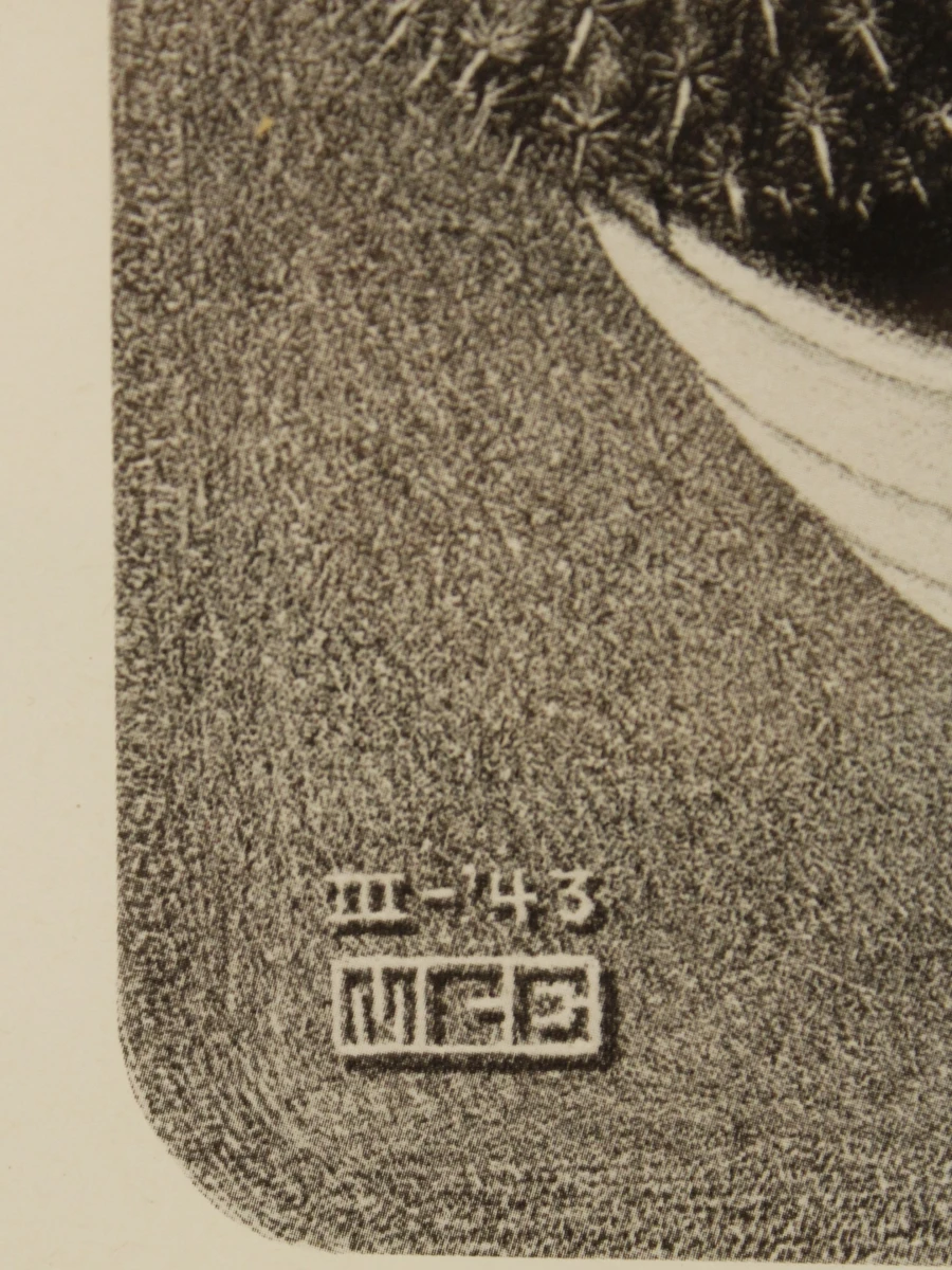 M.C. Escher reproductie prints Reptielen/Drie werelden - foto 5