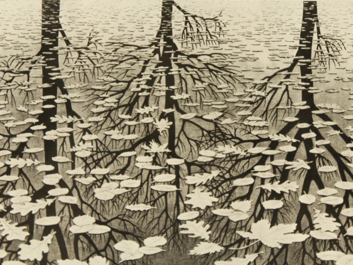 M.C. Escher reproductie prints Reptielen/Drie werelden - foto 9
