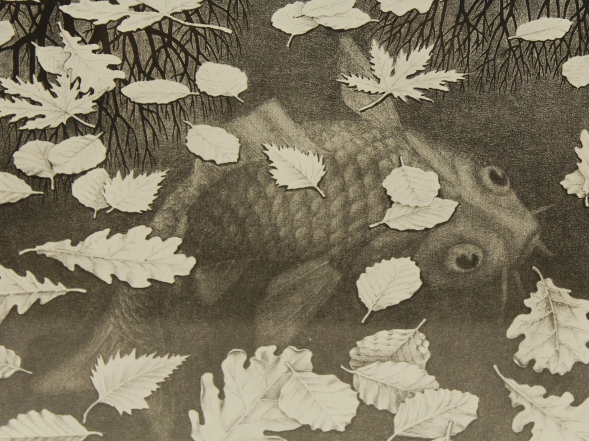 M.C. Escher reproductie prints Reptielen/Drie werelden - foto 10