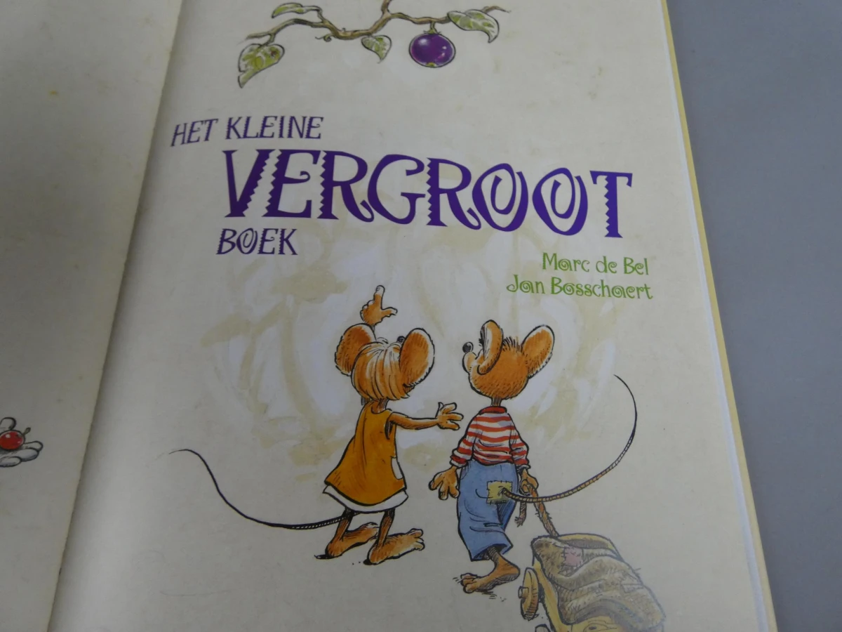 Het kleine vergroot boek - foto 4