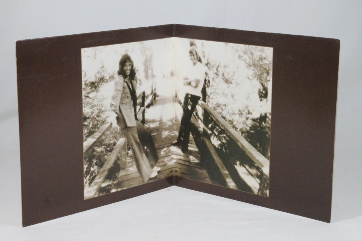LP: Carpenters: The Singles 1969-1973 - foto 5