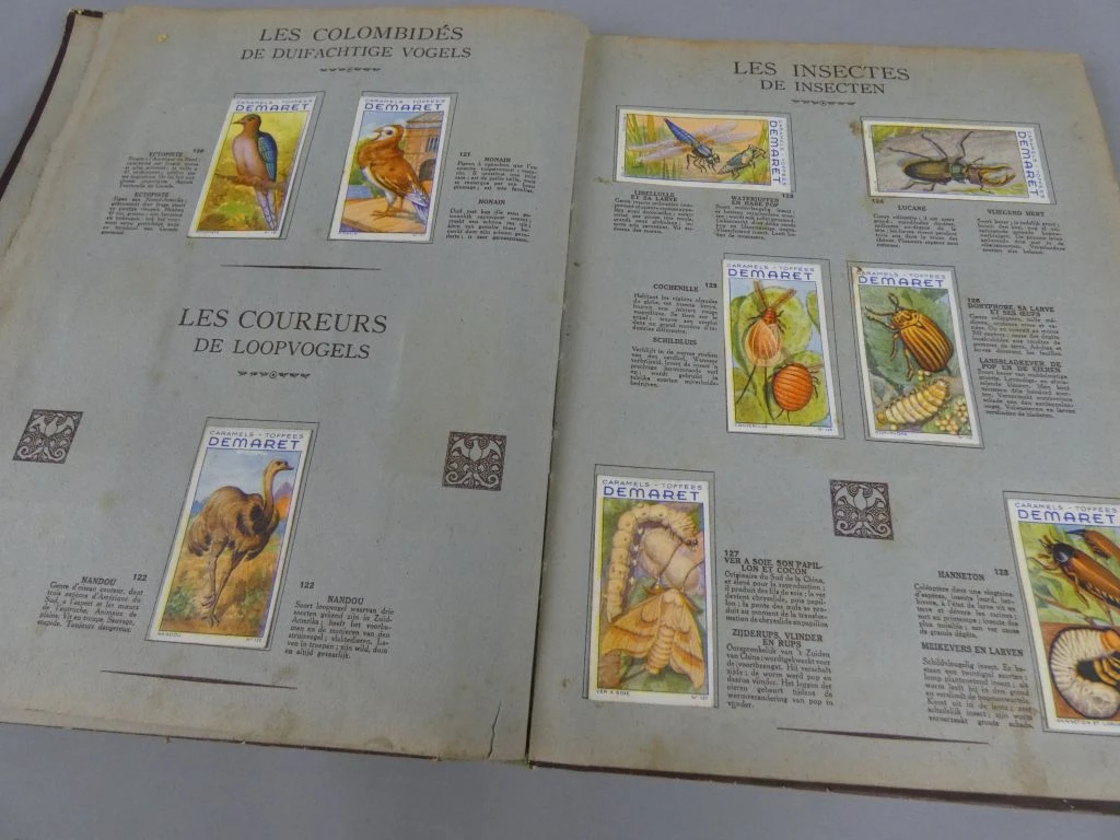 Vintage dierenplaatjesalbum Demaret 3e volume - foto 8