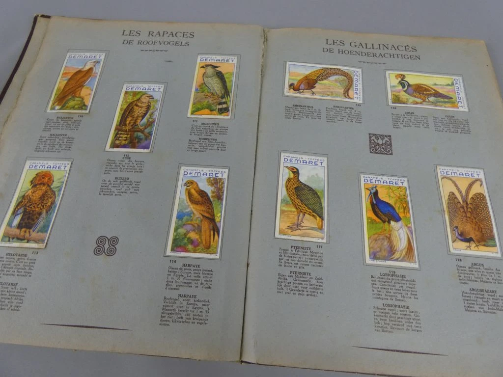 Vintage dierenplaatjesalbum Demaret 3e volume - foto 7
