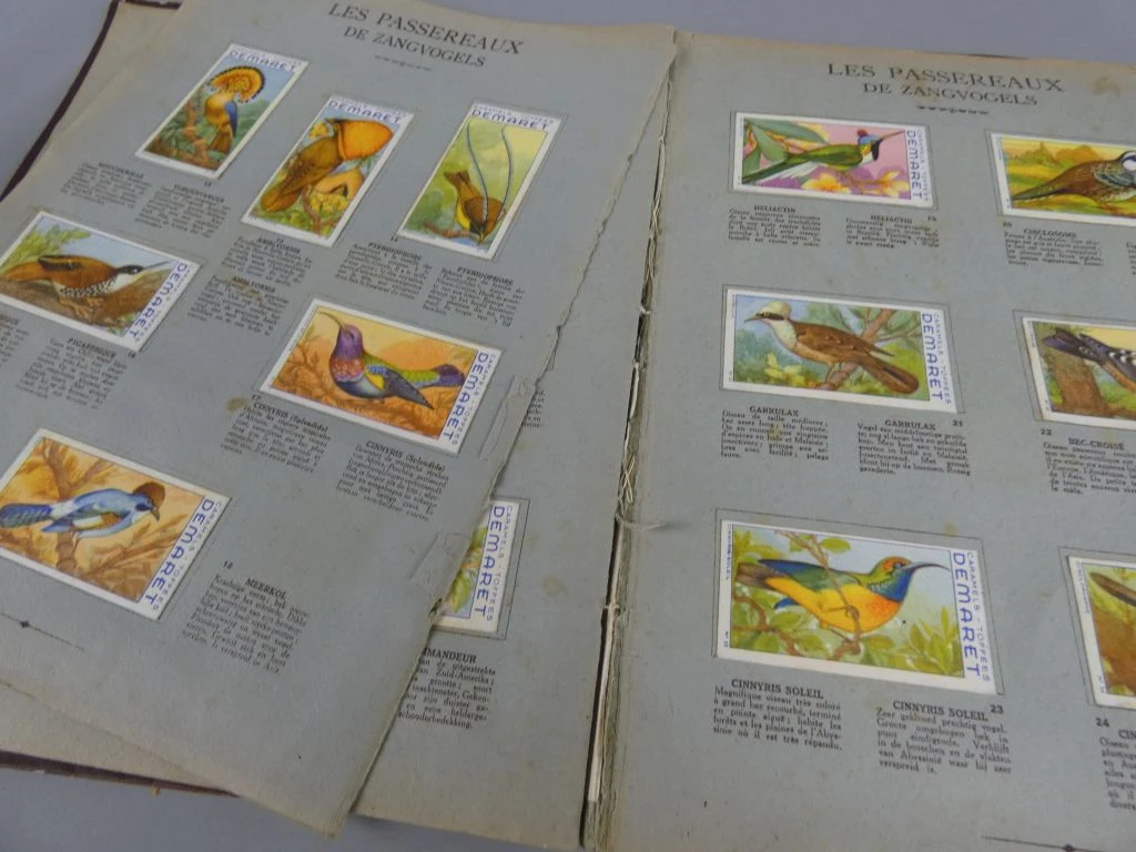 Vintage dierenplaatjesalbum Demaret 3e volume - foto 6