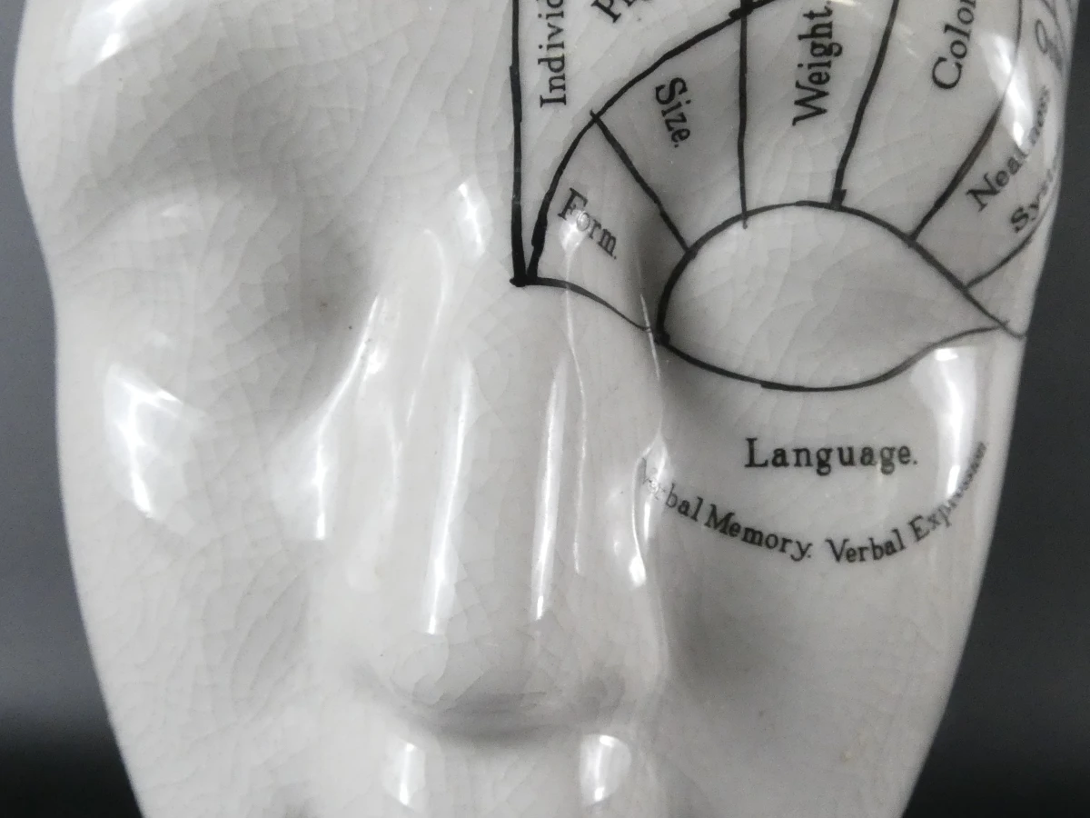 Keramisch hoofd Phrenologie model L.N. Fowler - foto 4