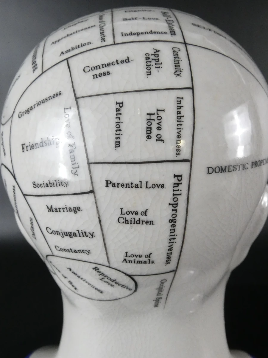 Keramisch hoofd Phrenologie model L.N. Fowler - foto 8