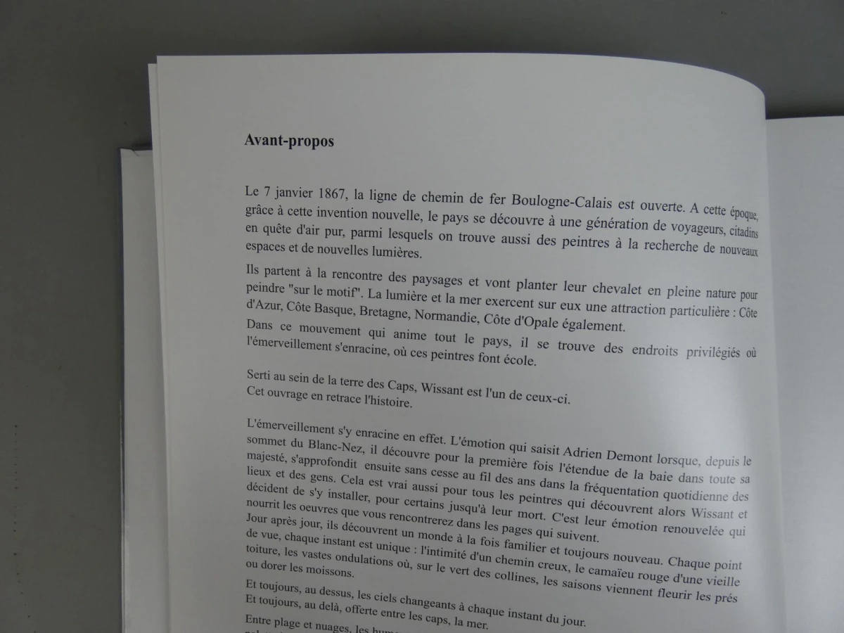 Boek L'Ecole de Wissant et ses Peintres - foto 4