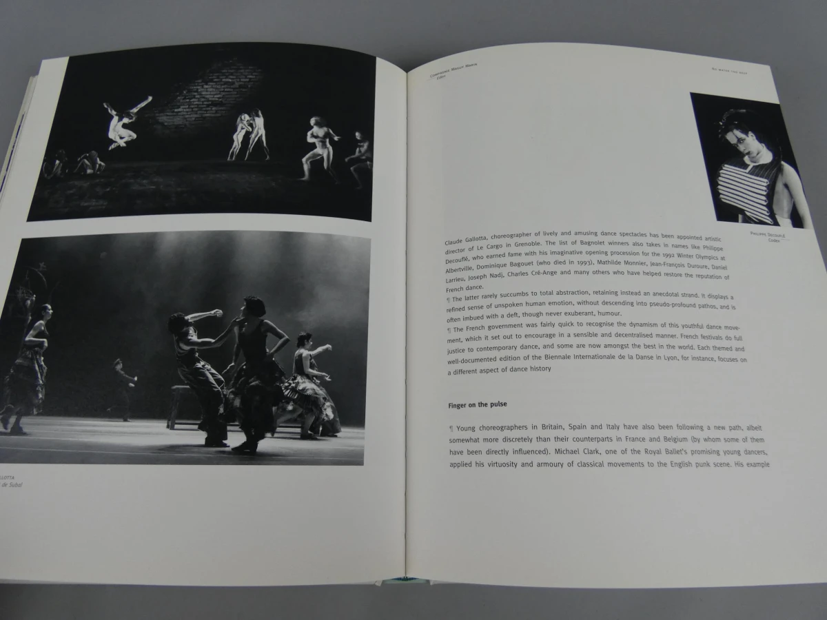 Boek Dance in Flanders - foto 9